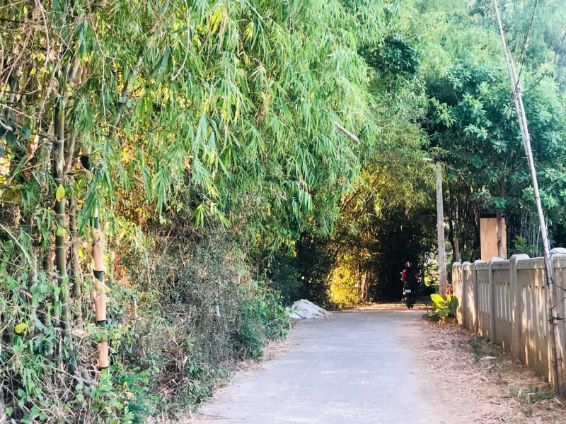 Ngó về quê mẹ