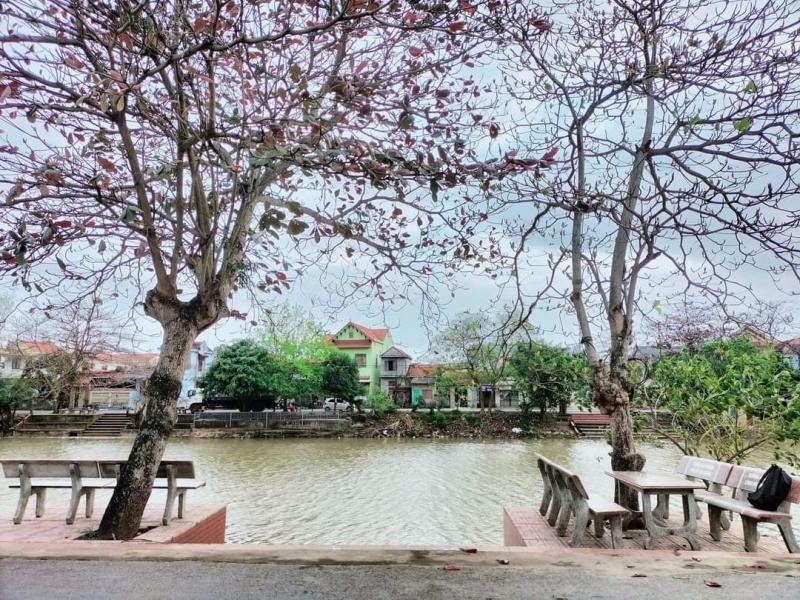 Bởi Kiến Giang xanh…