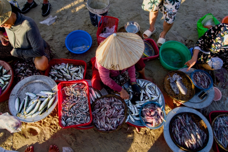Chợ Hôm