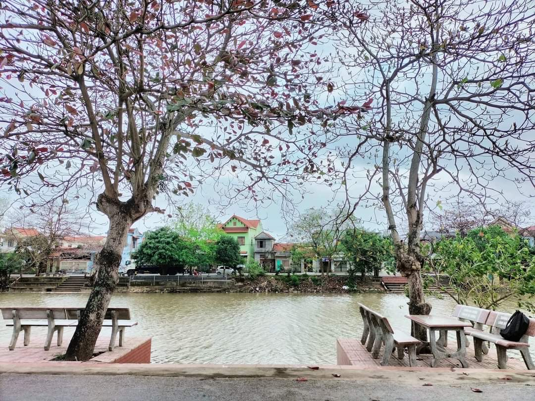 Bên dòng Kiến Giang - Ảnh: Ngô Mậu Tình