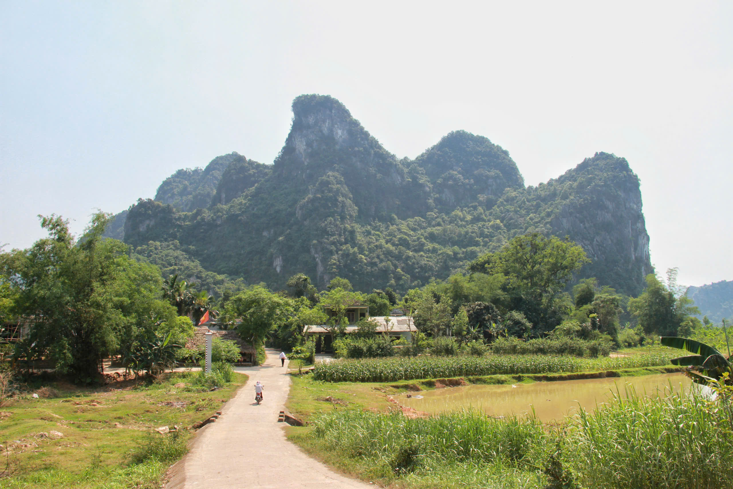 Ảnh: Trần Hùng